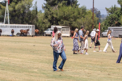 527A1252_250713
